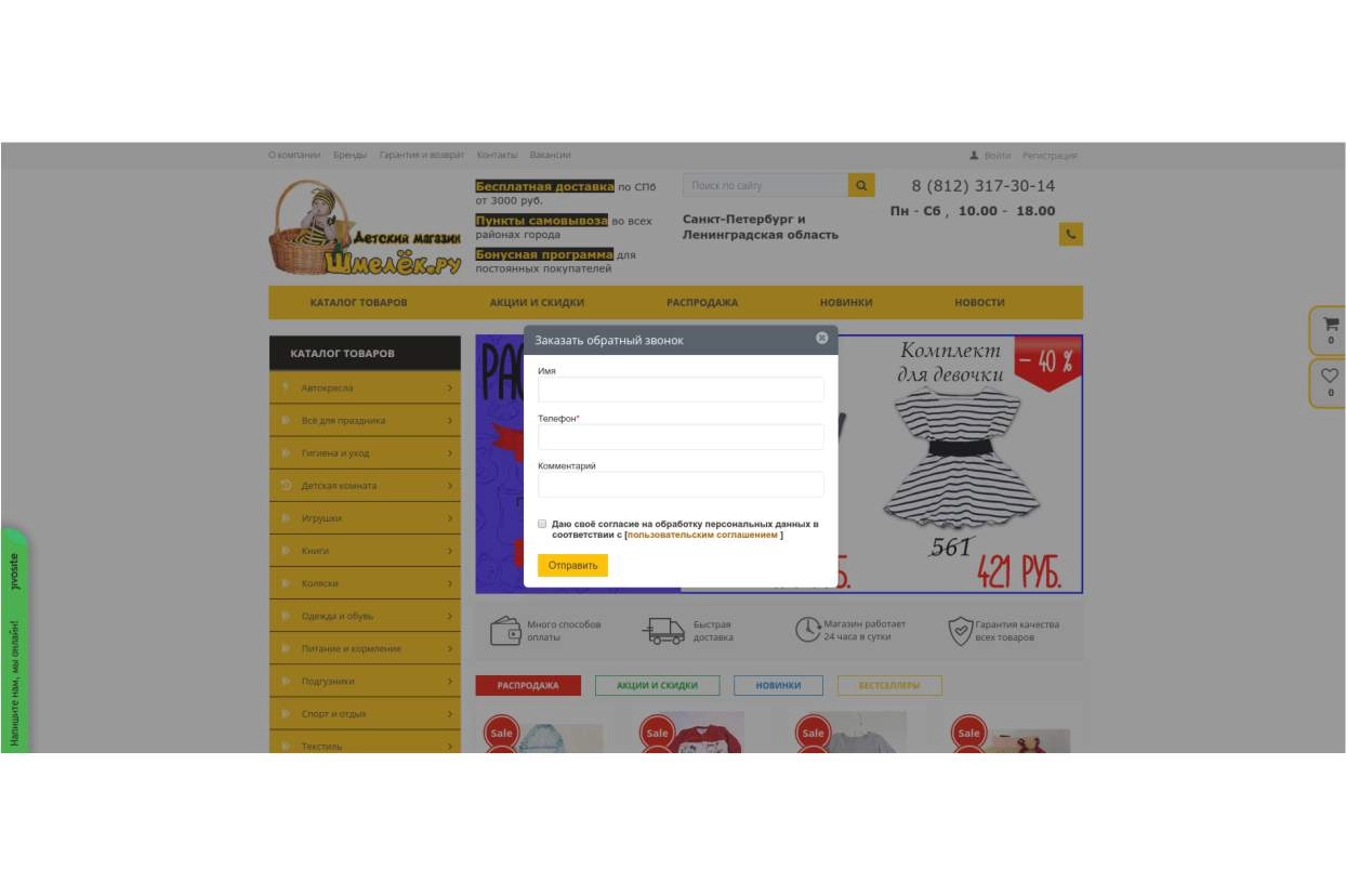 SEO продвижение интернет-магазина детских товаров и игрушек
