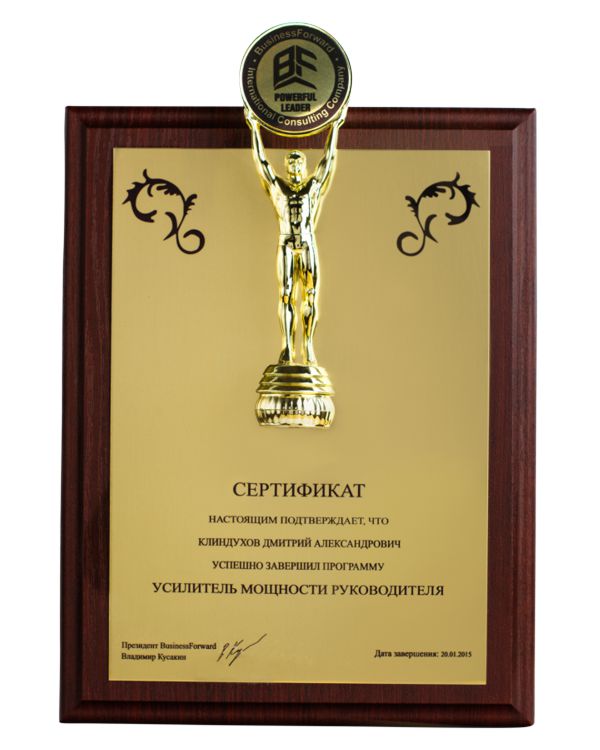 Сертификат "Усилитель мощности руководителя" BusinessForward, Дмитрий - фото